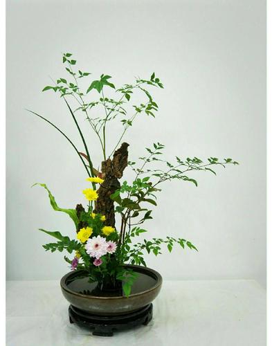 【心家园·东方插花】2019第四期初级即将开课, 半公益价!