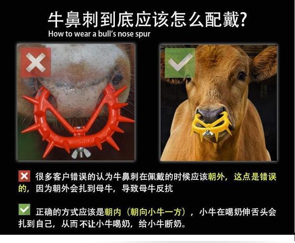 新型牛鼻刺 小牛断奶器 犊牛断奶器 加厚加大忌奶器牛奶罩牛鼻环