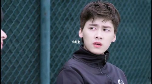 李易峰/千金归来:林皓_李易峰_千金归来影评_初三_电视机_p图_向日葵