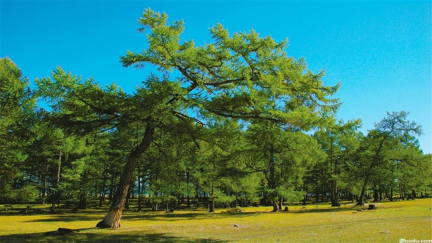 西伯利亚自然风光电脑桌面壁纸