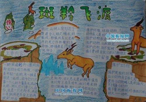 读斑羚飞渡的手抄报斑羚飞渡手抄报
