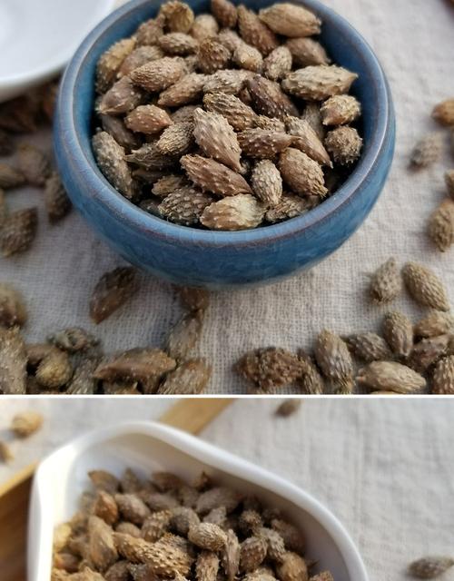 中药材 仓耳子 苍耳子 野生500g苍耳子茶磨苍耳子粉 炒苍耳子泡脚