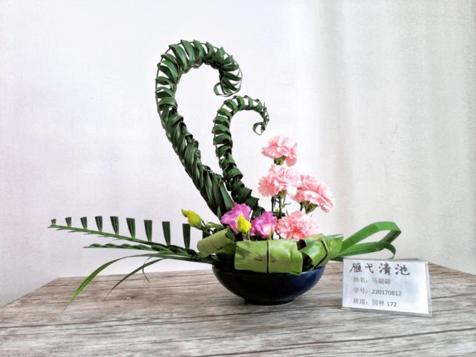 林学与园艺学院第九届赏花节"花香溢校园,艺巧蕙兰心"线上艺术插花