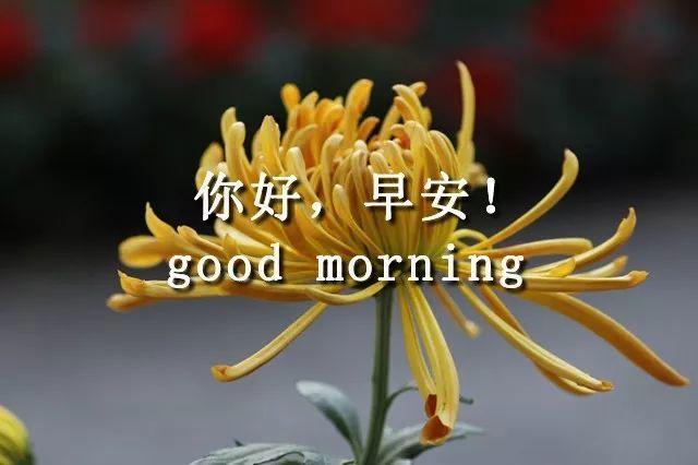 早上好图片带字句子2022微信早上问候语及关心话_腾讯新闻