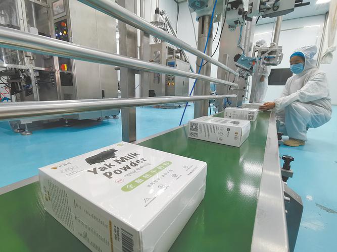 牦牛奶粉生产线的那头是市场,这头扛起的是贫困户脱贫的担子.