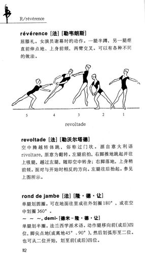 术语上海基本功解剖学书籍立人舞蹈芭蕾