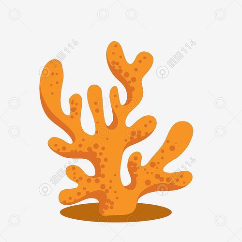 图片分类 设计元素 卡通手绘 手绘珊瑚插画素材   标签