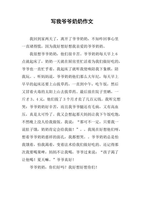 写我爷爷奶奶作文