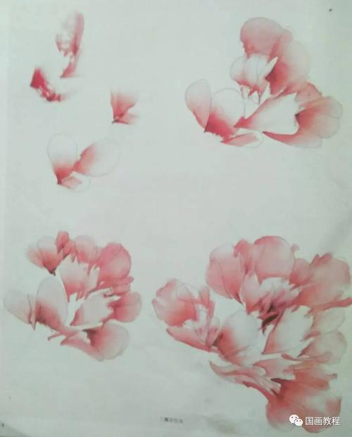【国画教程】4集,牡丹步骤画法(5)