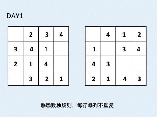 幼儿园大班玩数独21天每日练题库 可打印.pdf 23页
