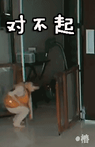 萌娃宋民国动图表情包