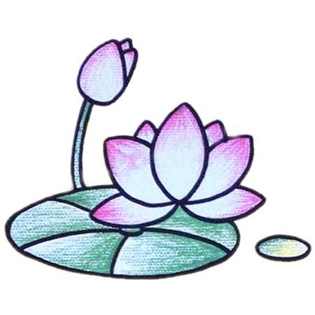 荷花的头像图片简笔画
