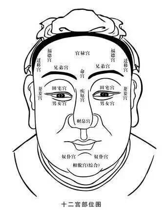 华子龙:面相基础知识--九维易