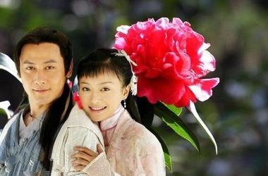 护花奇缘播出时间发布后可能有更新,实际护花奇缘什么时候上映,以电视