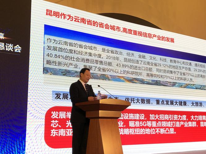 昆明市人民政府王冰副市长