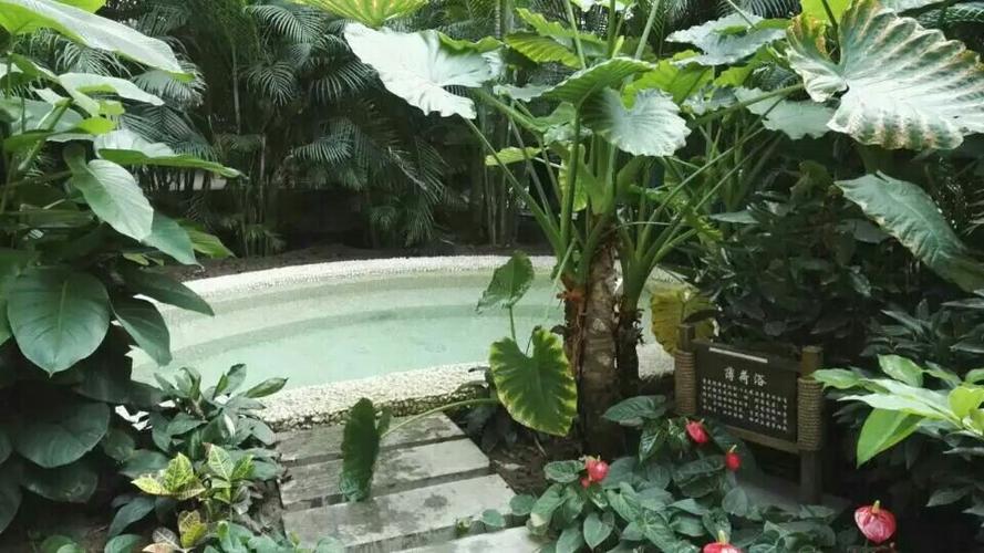 雄县美泉世界温泉好玩吗,雄县美泉世界温泉景点怎么样