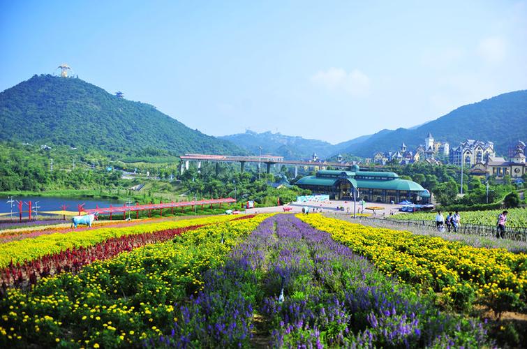 【会员半价】东部华侨城茶溪谷_广州门票_国汇优游