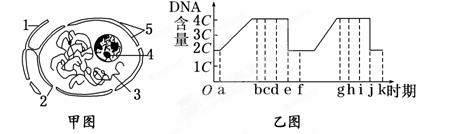2014届湖南省桃江县第一中学高三8月月考生物试卷(带解析)