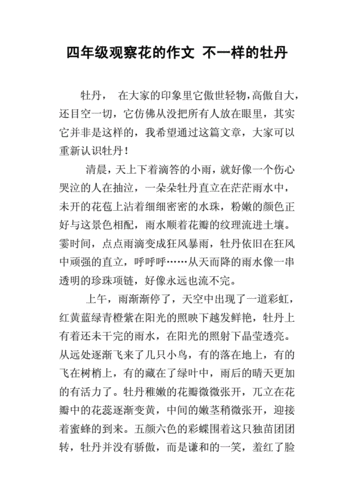 四年级观察花的作文 不一样的牡丹.docx