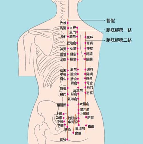 蓝米美容学校:按摩这条经络,腰酸背痛妇科病痘痘全都一起治好了!