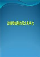 人教版教学教案江苏省连云港市田家炳中学高一生物《细胞的吸水和失水