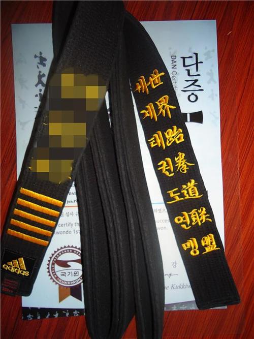 唐教练说"黑带"_汉中跆拳道馆_新浪博客
