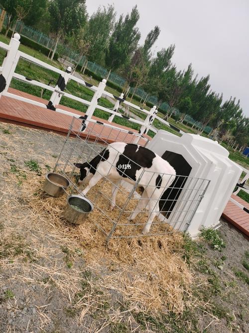 天润丝路云端牧场_乌鲁木齐溜娃_景点_牧场_天润丝路云端牧场攻略