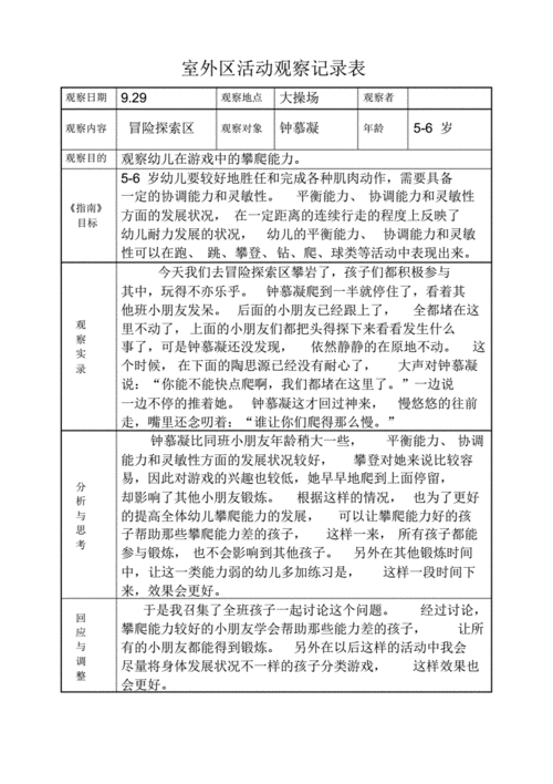 幼儿园小中大班室外区活动观察记录表.pdf 11页