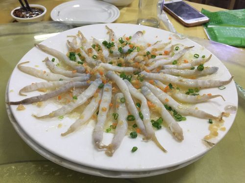 这是沙虫.