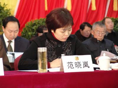 当阳女市长范晓岚撞死男童