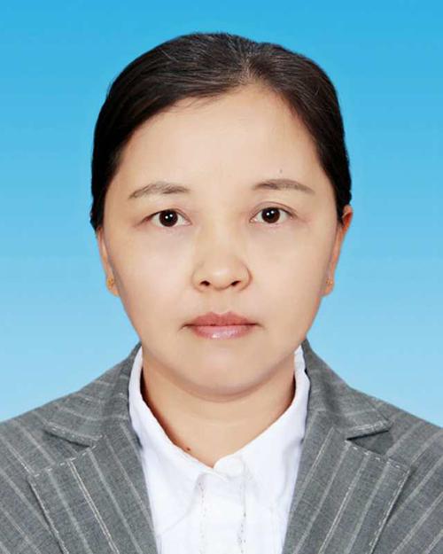 嘉祥县红运乡党委委员;嘉祥县红运乡政府副乡长;嘉祥县满硐乡政府副