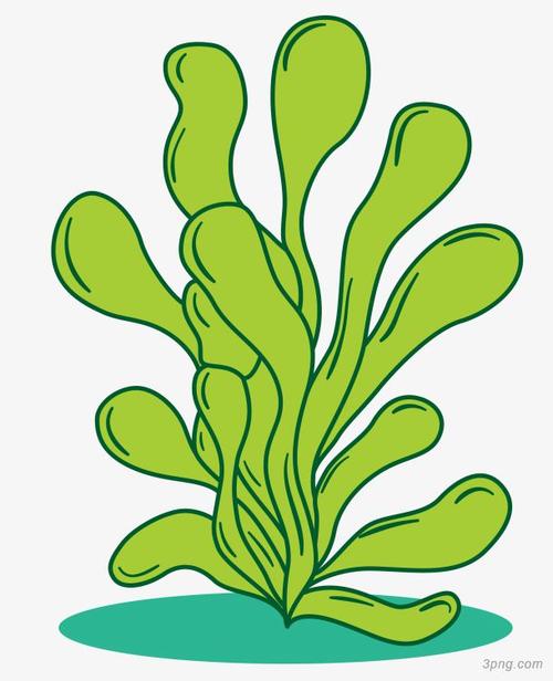 蕨类矢量卡通海藻