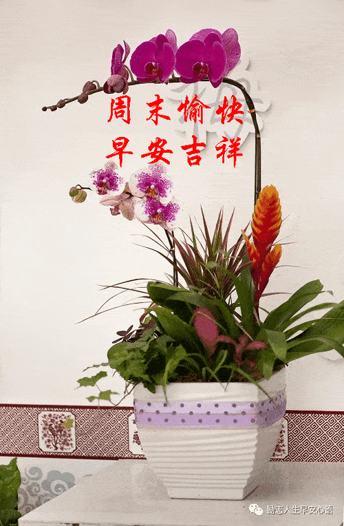 2020619615周末愉快早安30心语