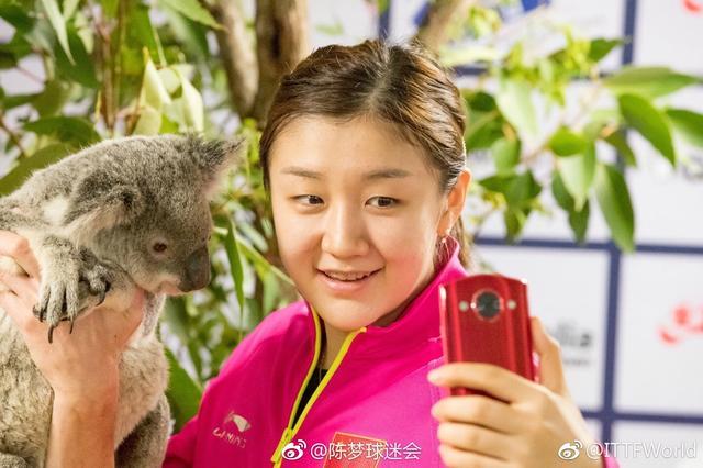 陈梦微博被盗,4天才反应!中国国乒封闭训练不玩虚的