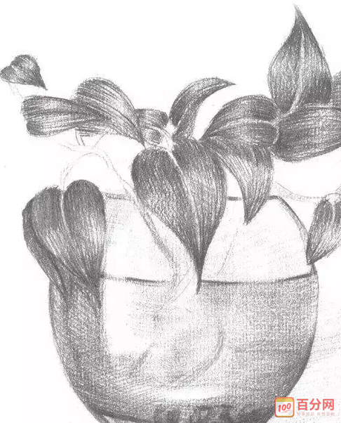 简单素描步骤画法