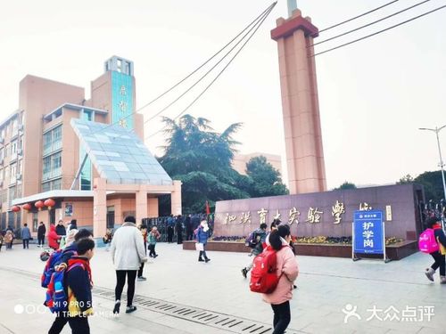 泗洪育才实验学校图片