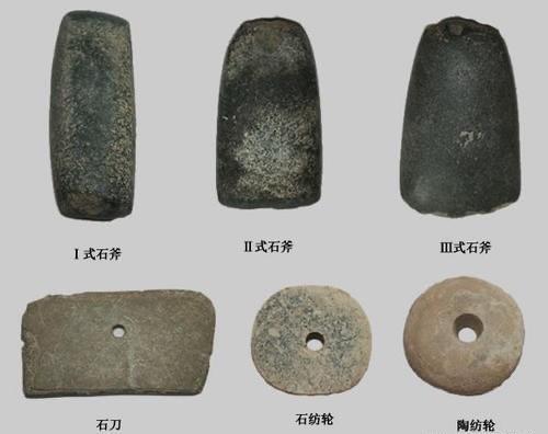 巴拿马猴砸坚果,就进入石器时代了?网友:村里的猴子还能骑车呢