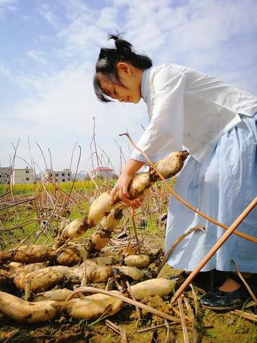 再续覃塘莲藕雄风,怡宸食品与之同行!