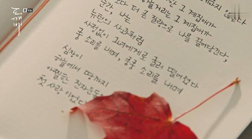 魁北克:鬼怪夫妇也要去的枫叶国度