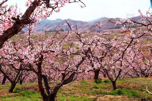 丹东河口桃花岛