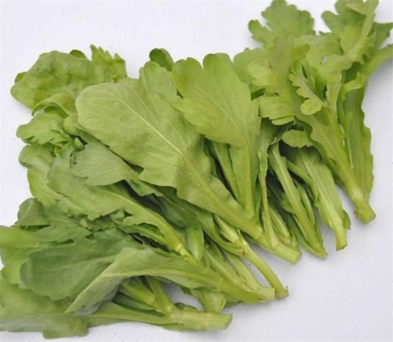 同蒿,蓬蒿,蒿菜,菊花菜,塘蒿,蒿子杆,蒿子,桐花菜(在福建等地也叫鹅菜