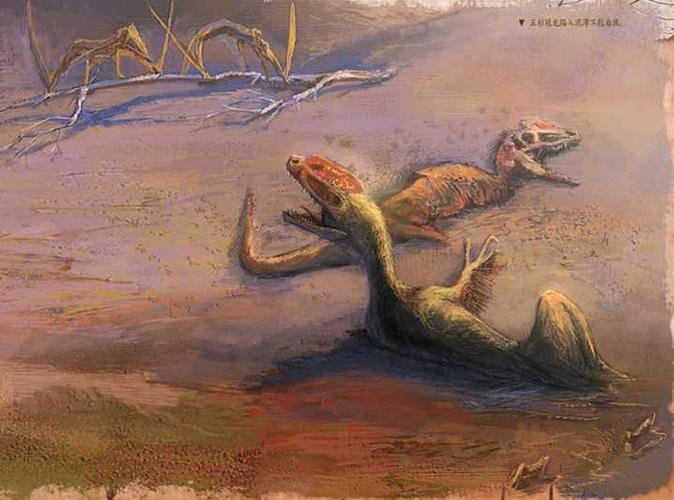 泥潭中的头冠——冠龙