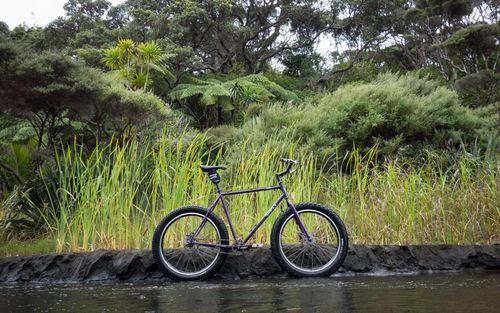 > 唯美自行车风景壁纸(4/14)