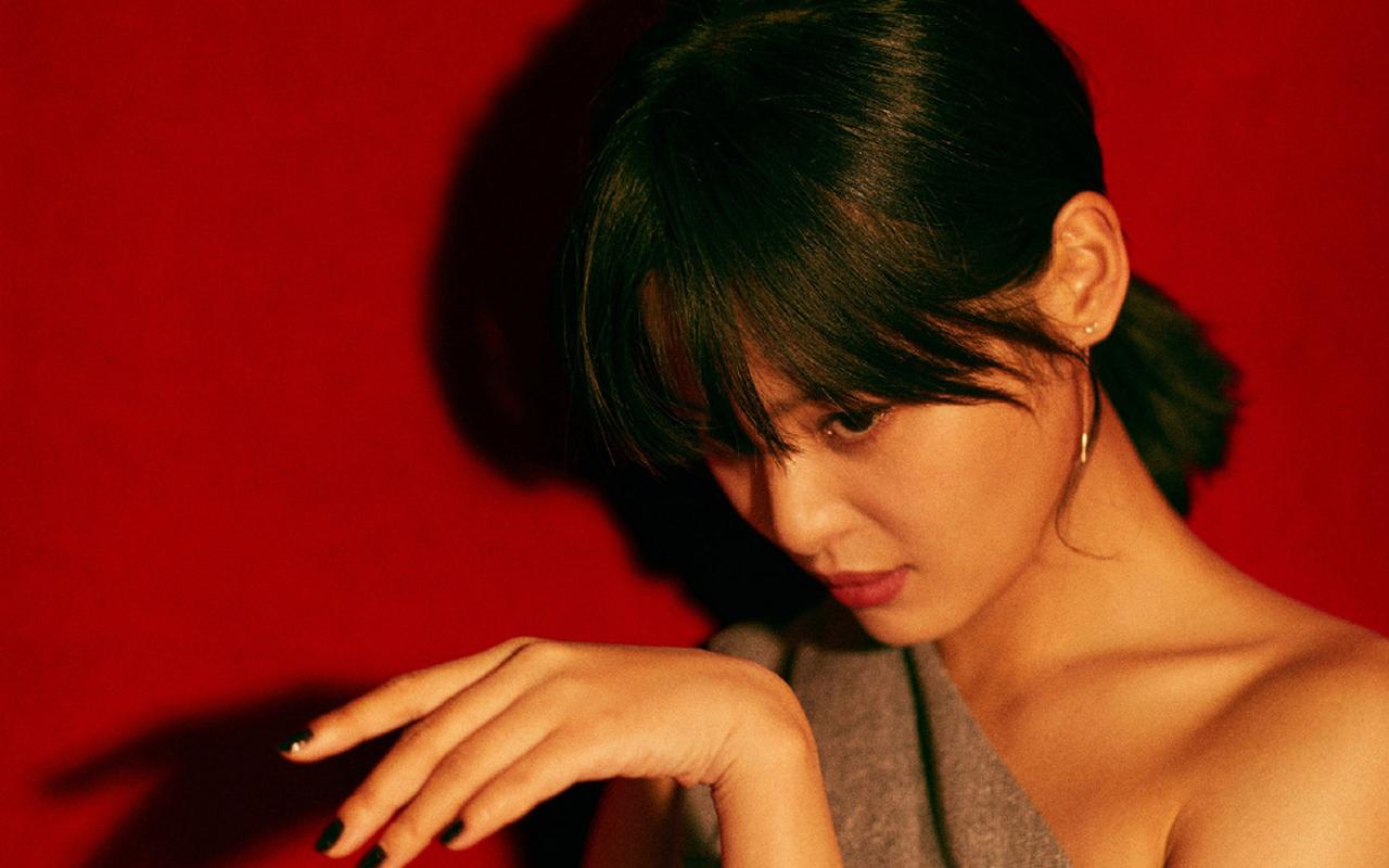 辛芷蕾魅惑写真图片桌面壁纸