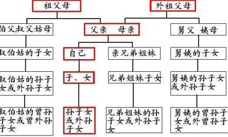 丧假中直系亲属,旁系亲属具体指哪些人?