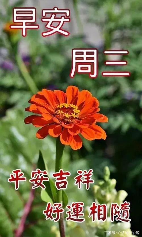 2021年1月27日周三清晨早上好问候祝福动态表情图片