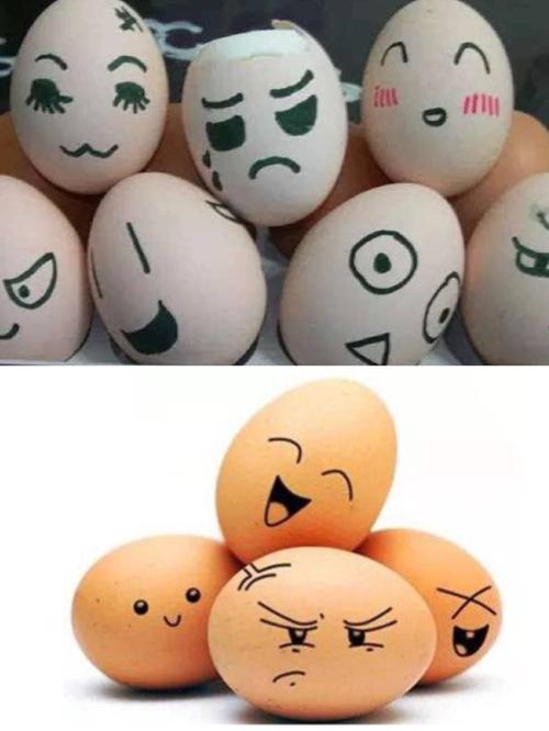 表情包鸡蛋