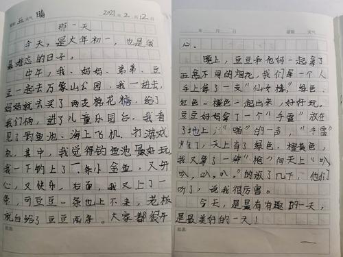 寒假日记