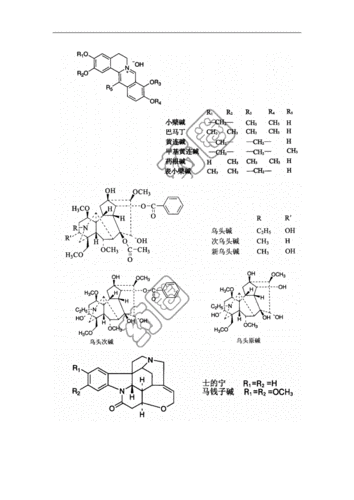 化学结构式.docx