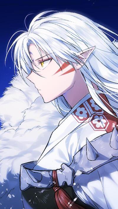 犬夜叉 杀生丸 犬大将 奈落 戈薇 七宝 云母 弥勒 珊瑚 高清壁纸 动漫